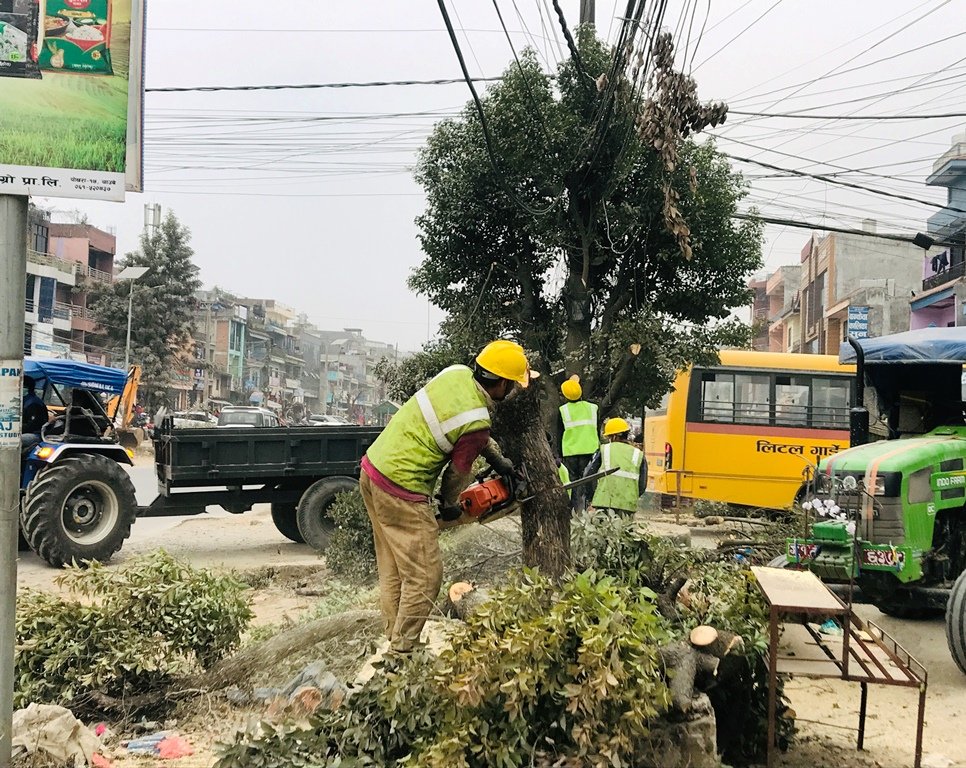 मुग्लिन-पोखरा चार लेन सडक आयोजना : ५८ सय रुख काटियो