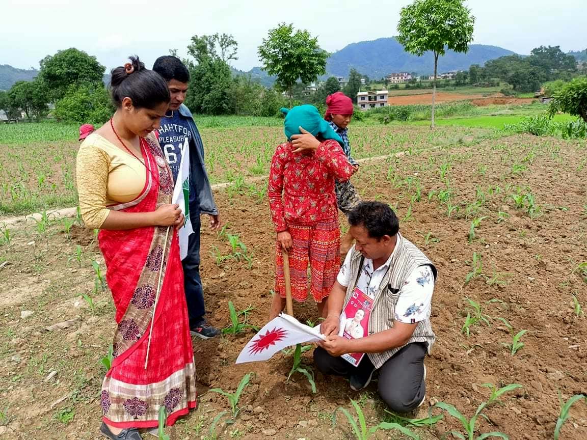 चुनावी प्रचारप्रसार : खेतबारीदेखि सामाजिक सञ्जालसम्म