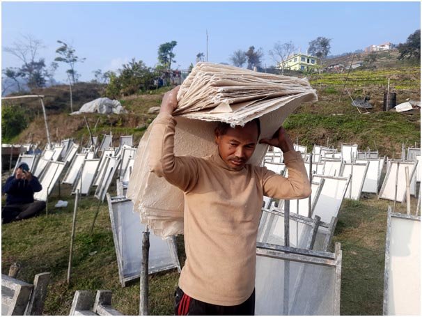 नेपाली कागज : बजारमा माग धेरै, उत्पादन कम