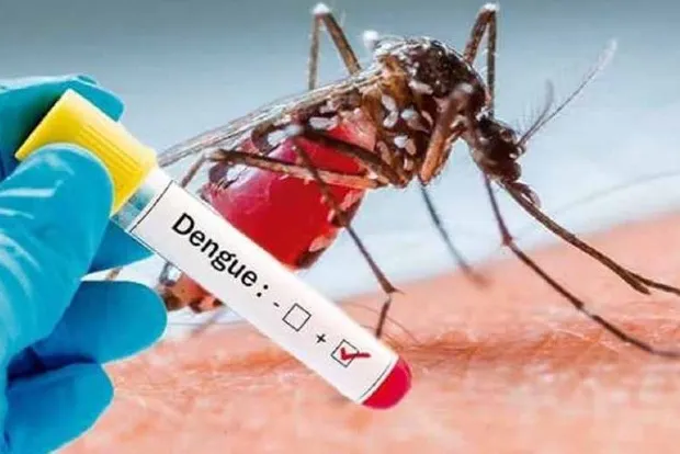 डेंगु संक्रमणबाट धादिङमा एक महिलाको मृत्यु, १७ सय ५५ जना संक्रमित
