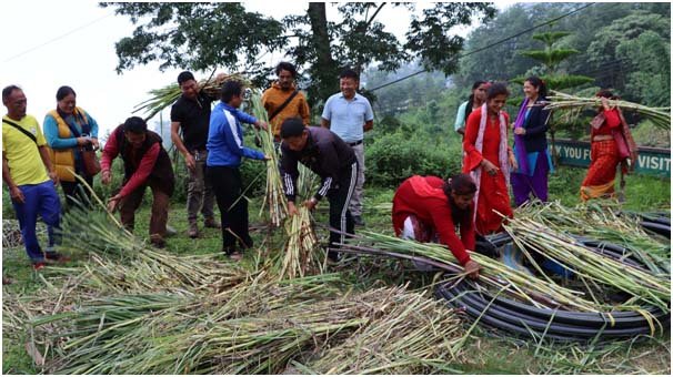 तलब खर्च गरेर नगर उपप्रमुखले बाँडे निःशुल्क घाँसको बिरुवा