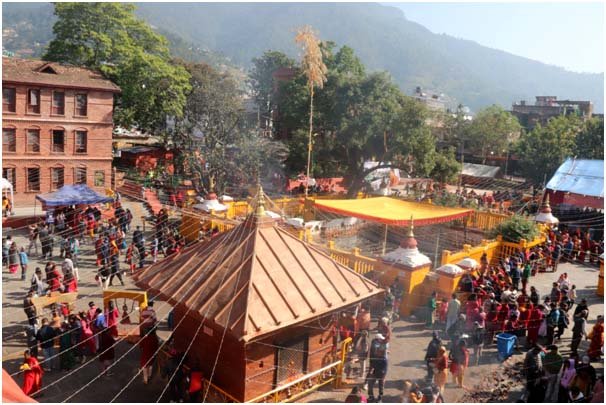 हरिबोधनी एकादशी : काठमाडौँसहित देशभरका नारायण मन्दिरमा भक्तजनको घुइँचो