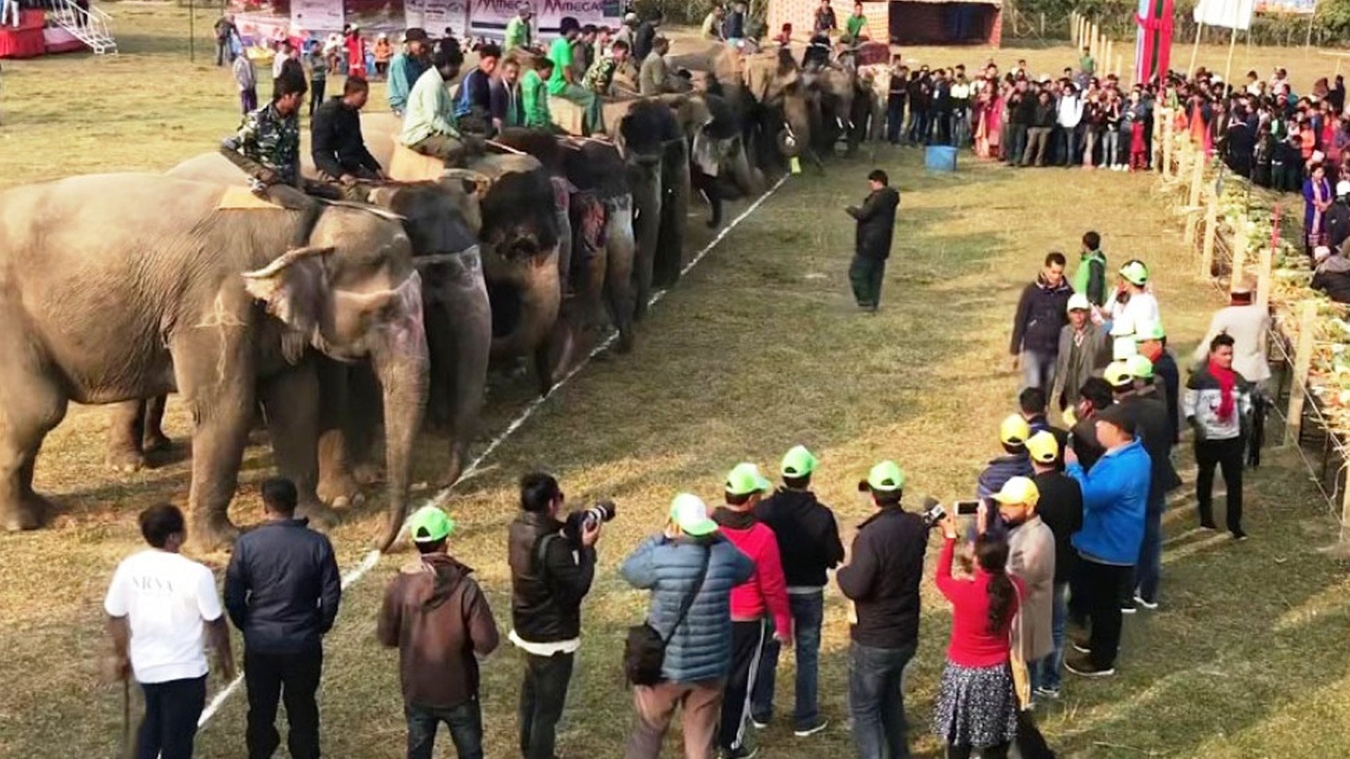 चितवनमा हात्ती महोत्सव पुस १० देखि