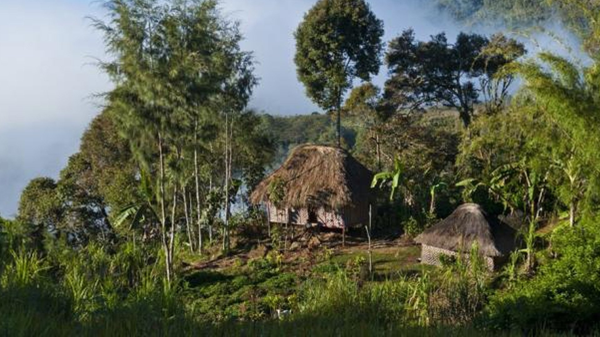 पपुवा न्यू गिनीको पहाडी इलाकामा भएको जातीय भिडन्तमा कम्तीमा ६४ जनाको मृत्यु