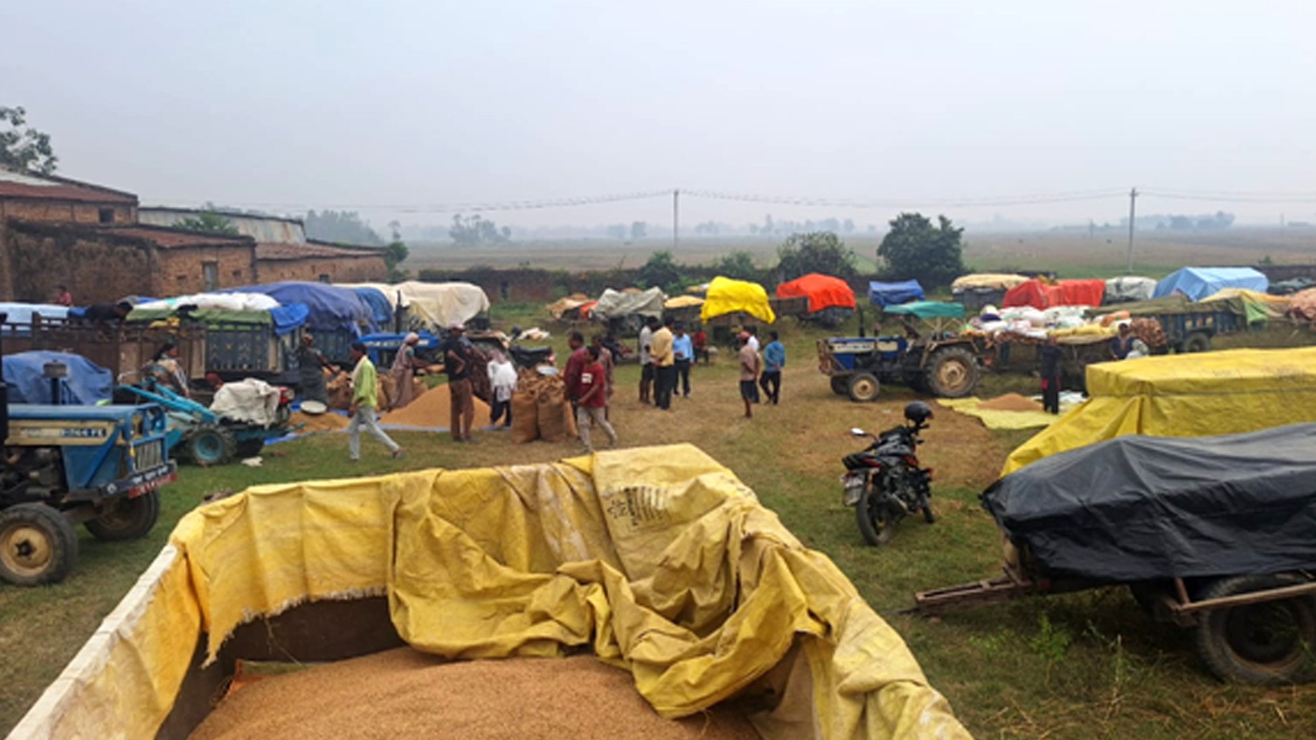 धान बेच्न किसान रातभर लाइनमा, सरकारी खरिद केन्द्रमा भीड